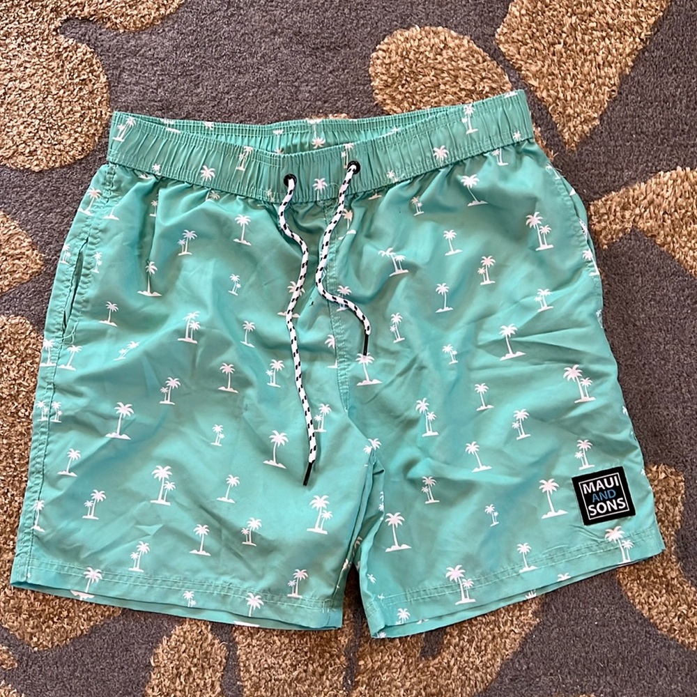 Mint Green Men’s Swim Shorts